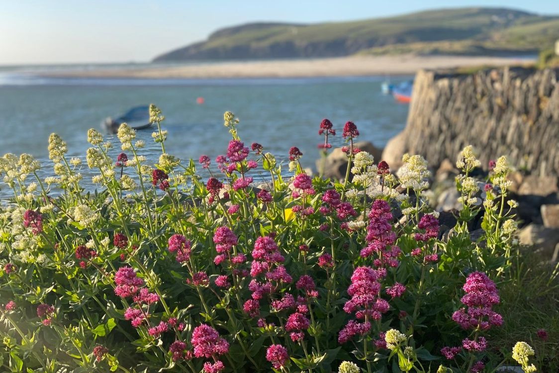 Pembrokeshire Beaches